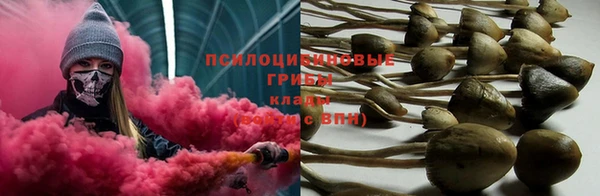 гидра Волосово