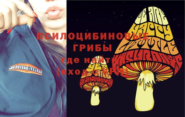 гидра Волосово
