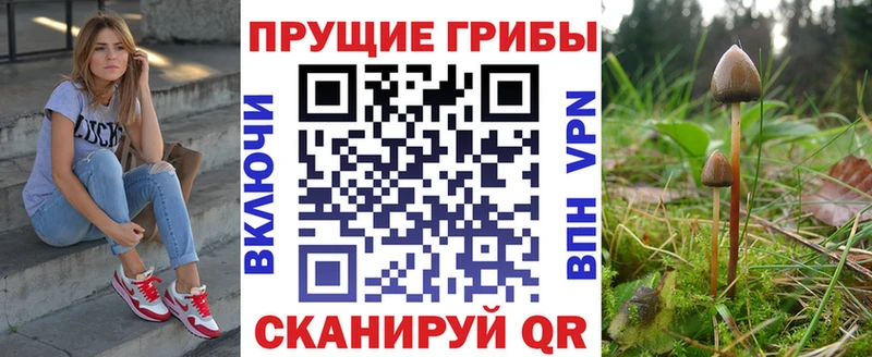 Галлюциногенные грибы Psilocybine cubensis  Зея 